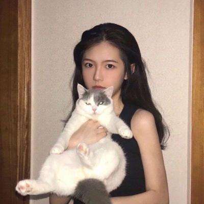 365小游戏下载手机版